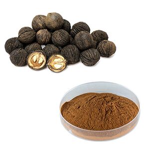Black walnut in the poisonous output