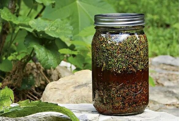 Herbal tea against parasites