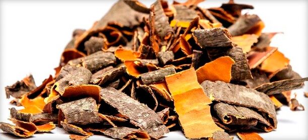 Aspen bark from parasites in the body